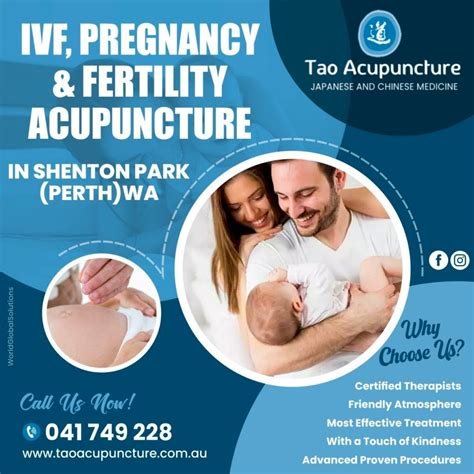 Acupuncture İn Vitro Fertilization