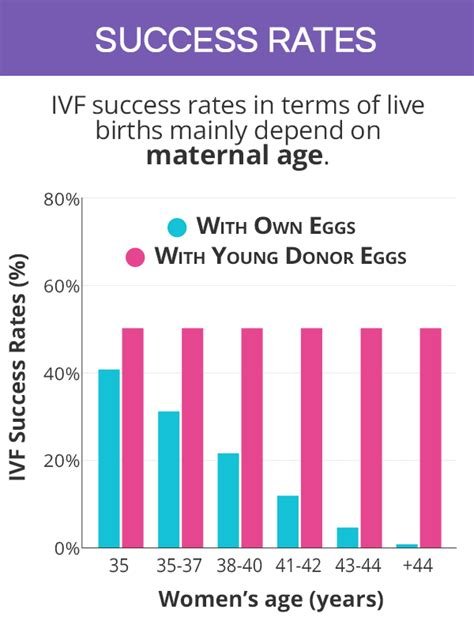 Age Limit For İn Vitro Fertilization
