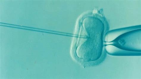 Catholic Teaching On İn Vitro Fertilization