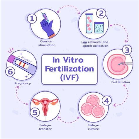 Complications Of İn Vitro Fertilization