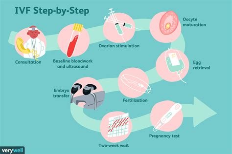 Does Medicaid Pay For İn Vitro Fertilization