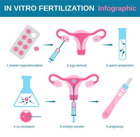 Ethical İssues İn Vitro Fertilization