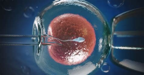Houston İn Vitro Fertilization
