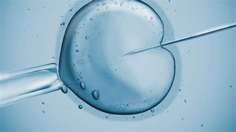 İn Vitro Fertilization Birth Defects