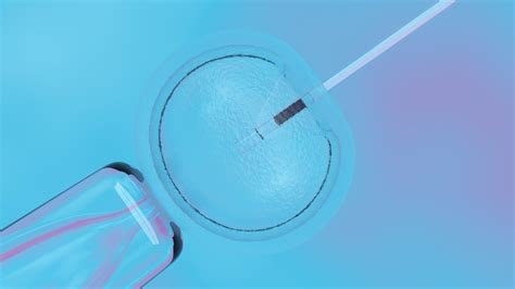 İn Vitro Fertilization Cost İn Ct