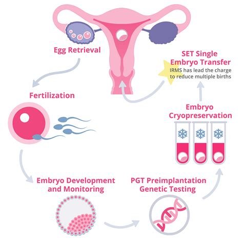İn Vitro Fertilization Hormone İnjections