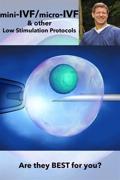 İn Vitro Fertilization St Louis