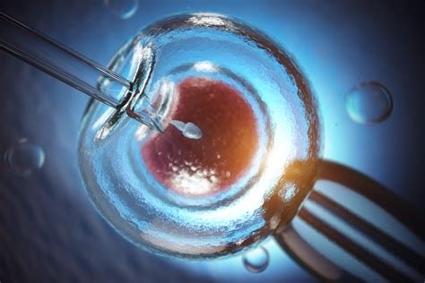 İs İn Vitro Fertilization A Sin