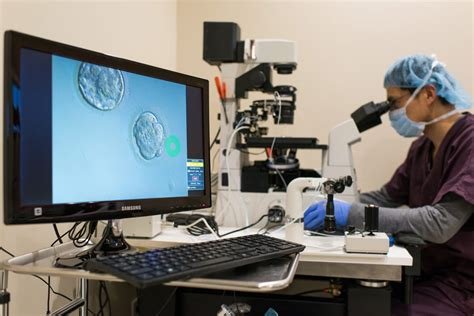 Top İn Vitro Fertilization Clinics
